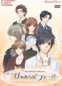 成人向乙女遊戲《ぴゅあらばフレーバー 始まりの場所》封面