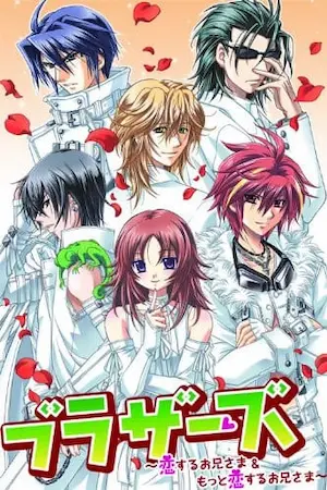 成人向乙女遊戲《ブラザーズ~恋するお兄さま~》封面