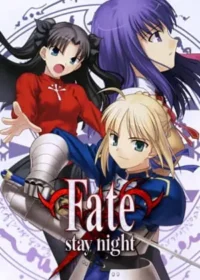 電玩遊戲《Fate/stay night》封面