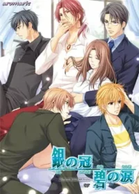 乙女成人向遊戲《銀の冠碧の涙》封面