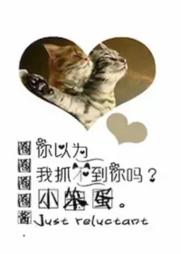 圈圈圈圈醬《你以為我抓不到你麼小笨蛋》封面