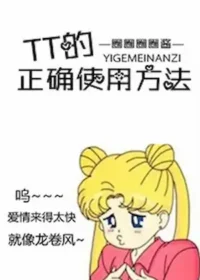 圈圈圈圈醬《TT的正確使用方法》封面