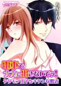 電車でナカに出さないでッ！～ケダモノ王子とキケンな婚活