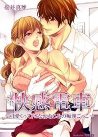 快感電車～可愛くってドＳな幼なじみの痴漢ごっこ～