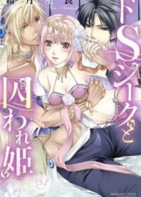 ドＳシークと囚われ姫