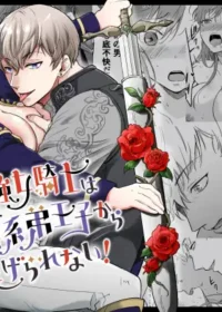 最強女騎士は執着系弟王子から逃げられない!