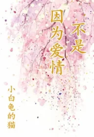不是因為愛情