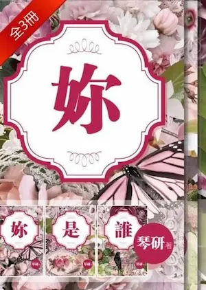 套書《妳是誰-我要撕了妳陰道-》封面