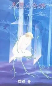 默禮《美麗的奇蹟》封面
