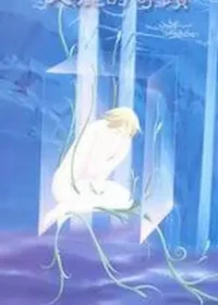 默禮《美麗的奇蹟》封面