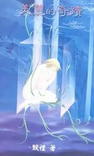 默禮《美麗的奇蹟》封面