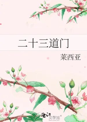 萊西亞《二十三道門》封面