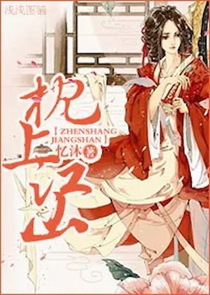憶沐《枕上江山》封面
