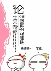 圈圈圈圈醬《論生米做成熟飯的可能性》封面