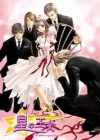 美蕾遊戲《星の王女》封面