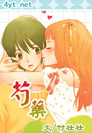 付壯壯《芍藥》封面