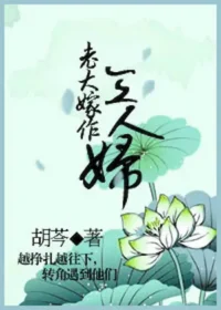 胡芩《老大嫁作三人婦》封面