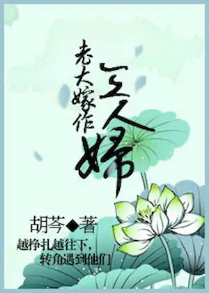 胡芩《老大嫁作三人婦》封面