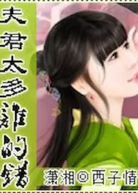 西子情《夫君太壞誰的錯》封面