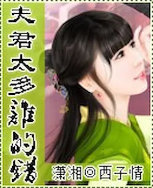 西子情《夫君太壞誰的錯》封面