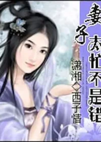 西子情《妻子太忙不是錯》封面