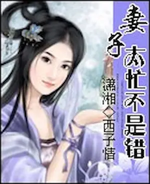 西子情《妻子太忙不是錯》封面