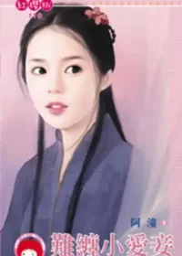 阿潼《難纏小愛妾》封面
