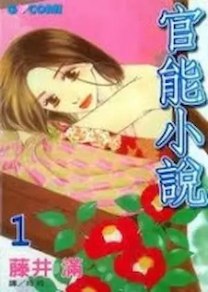 藤井滿《官能小說 1》封面